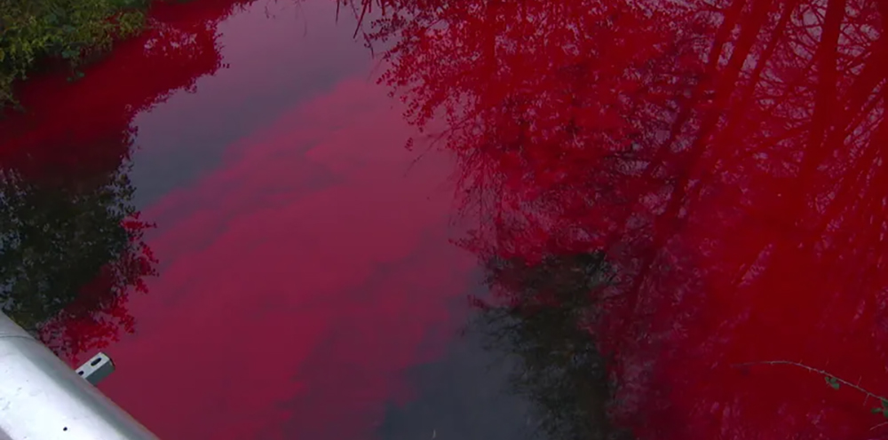 Der Fluss Auxance nimmt grüne und rote Töne für eine hydrogeologische Studie an
